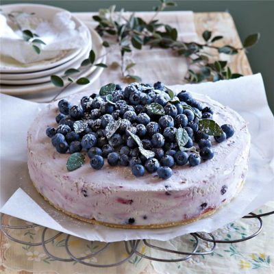 Frozen Blueberry Cheesecake