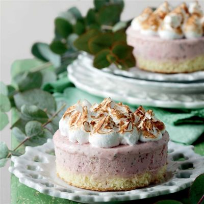 Strawberry & Mint Ice-Cream Cake