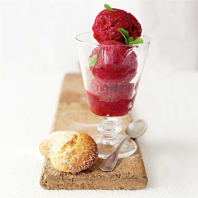 Fresh Berry Sorbet