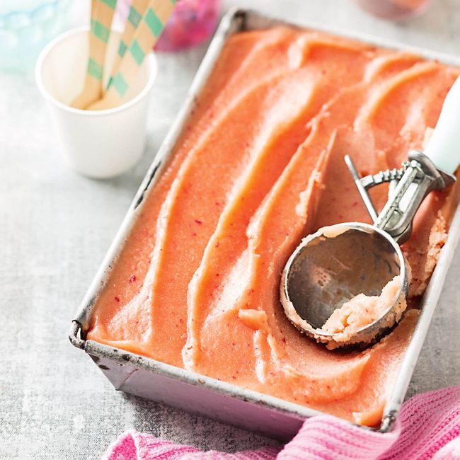 Fruit Salad Sorbet