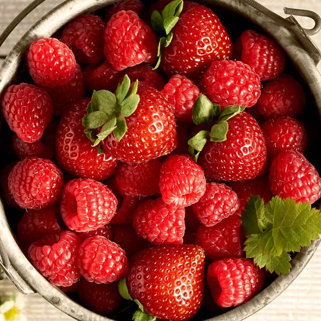 Driscoll's Berries With Cream