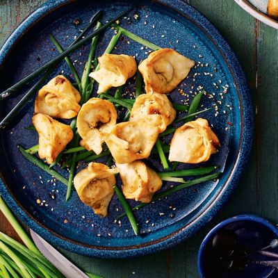 Vegetarian Wontons