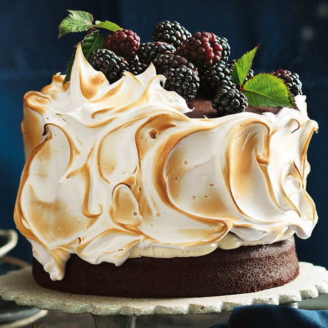 Chocolate & Blackberry Layer Cake