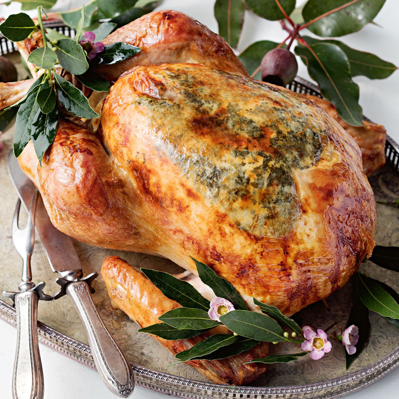 Brined Whole Turkey Recipe 