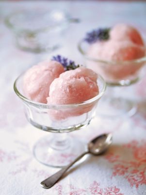 Lavender & Rosemary Sorbet