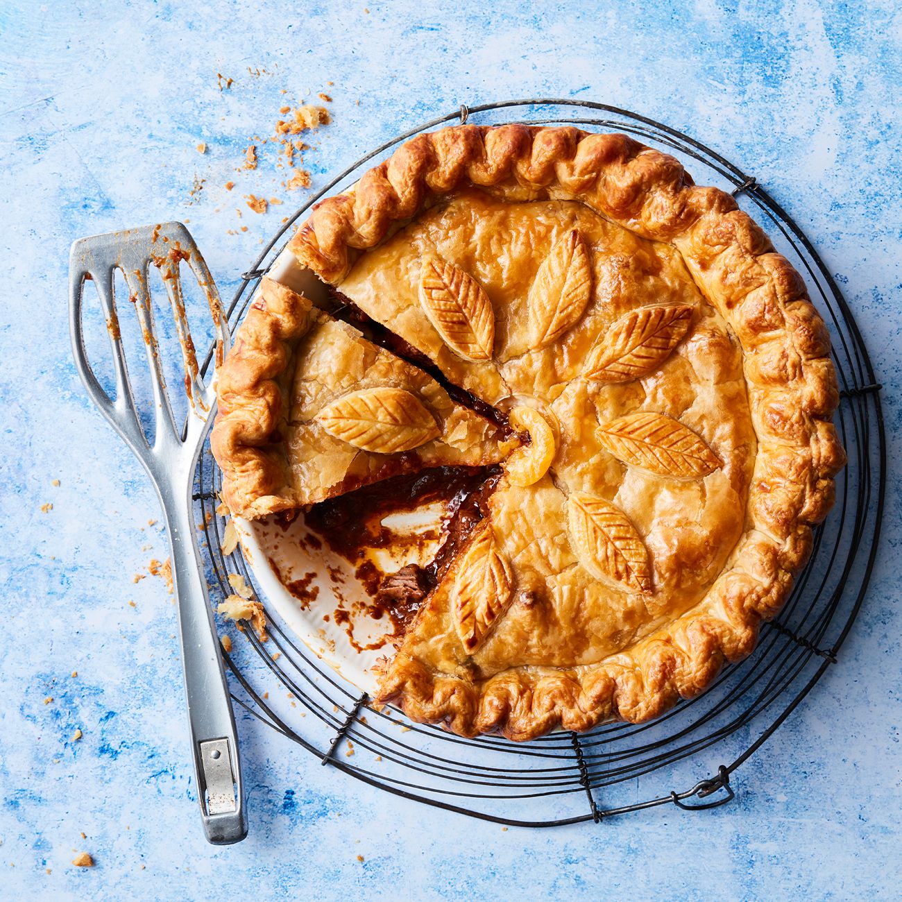 Beef and Onion Pie Recipe 