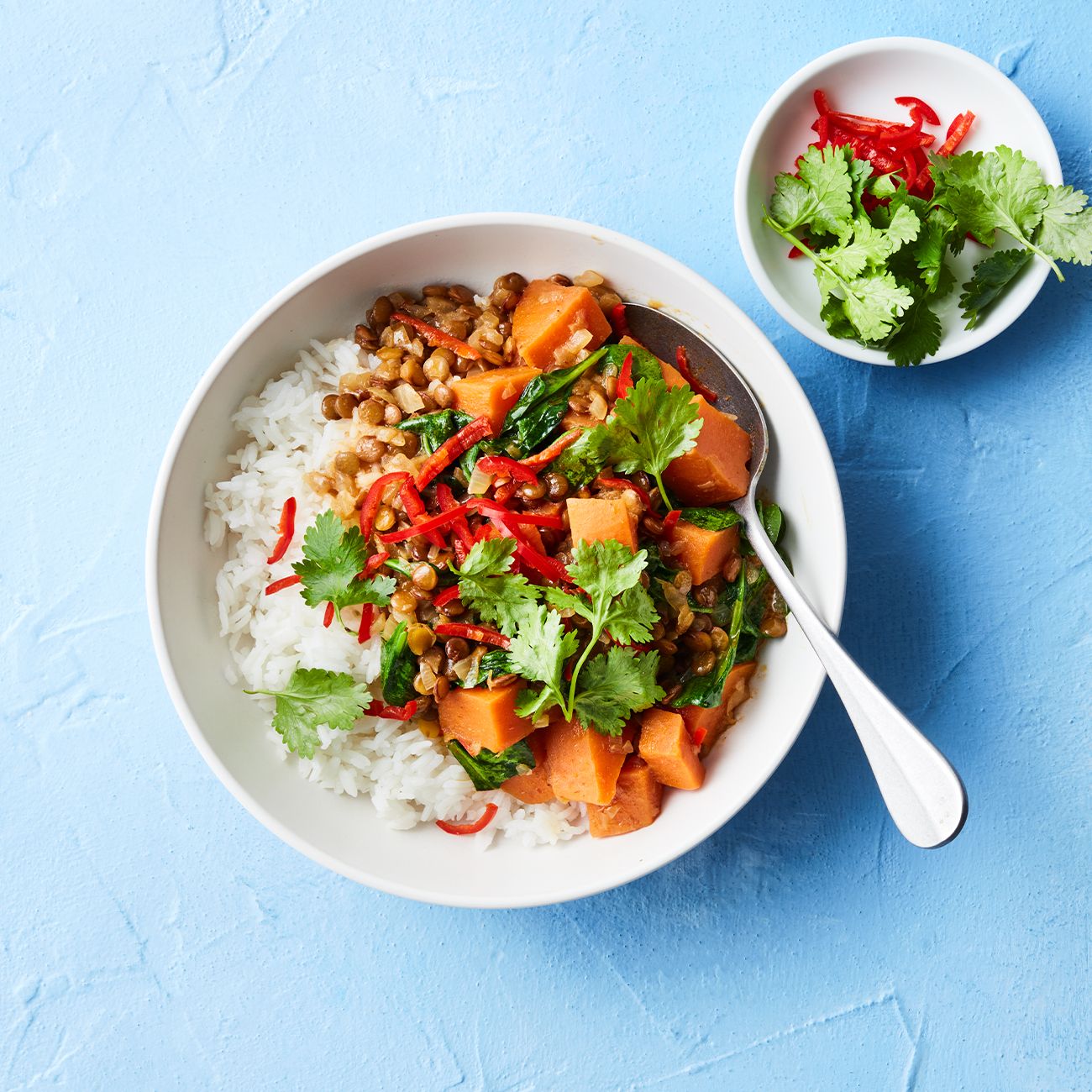 Sweet Potato & Lentil Curry Recipe | Woolworths