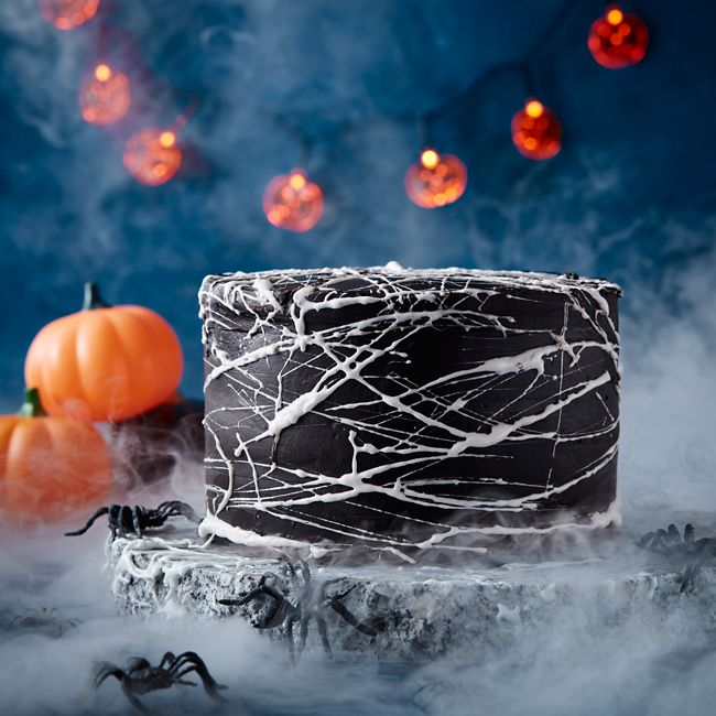 Chocolate Web Cake