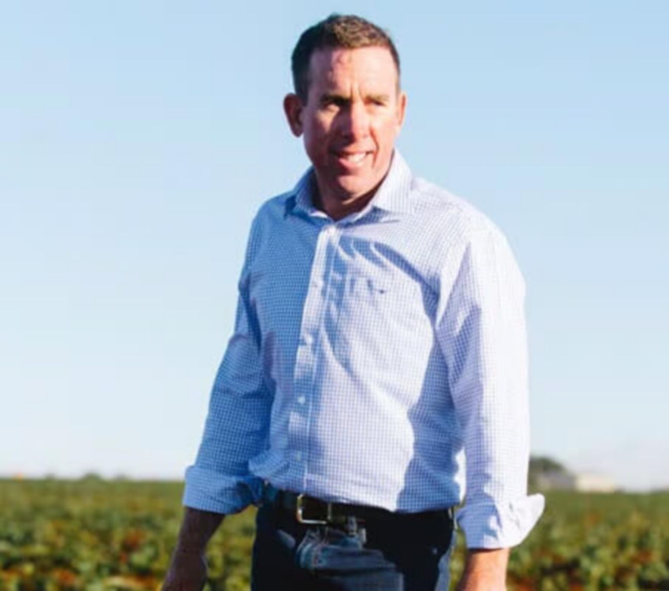 Sweet potato grower, Peter Greensill
