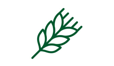 A green line icon of an oat sprig