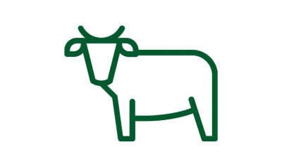 A green line icon of a cow standing facing left
