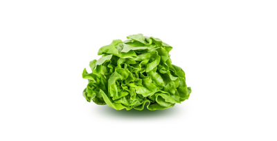 Butter lettuce