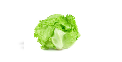 Iceberg lettuce