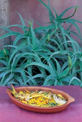 Sea Bream With Olives