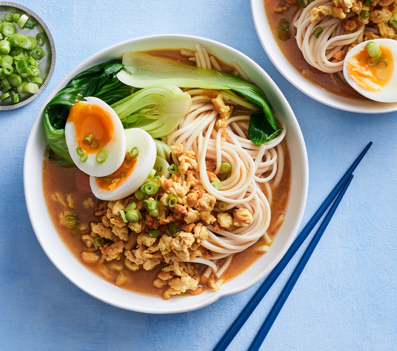 japanese udon noodle soup