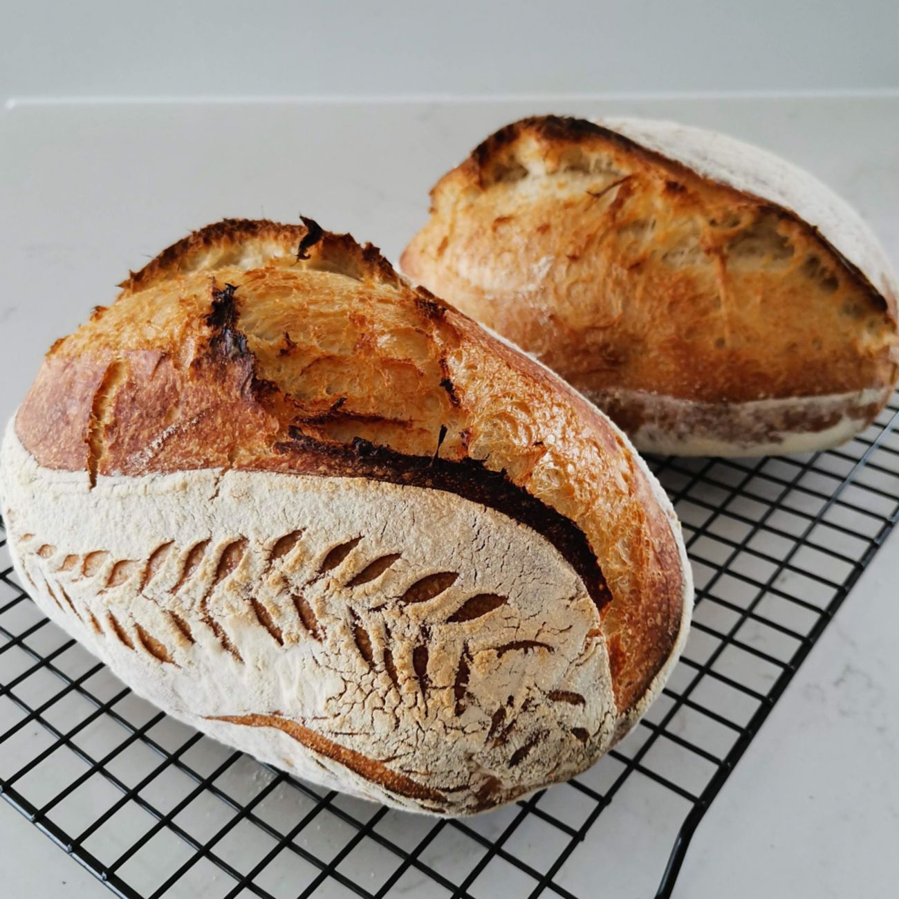 4 Ingredient Sourdough Bread Recipe Woolworths