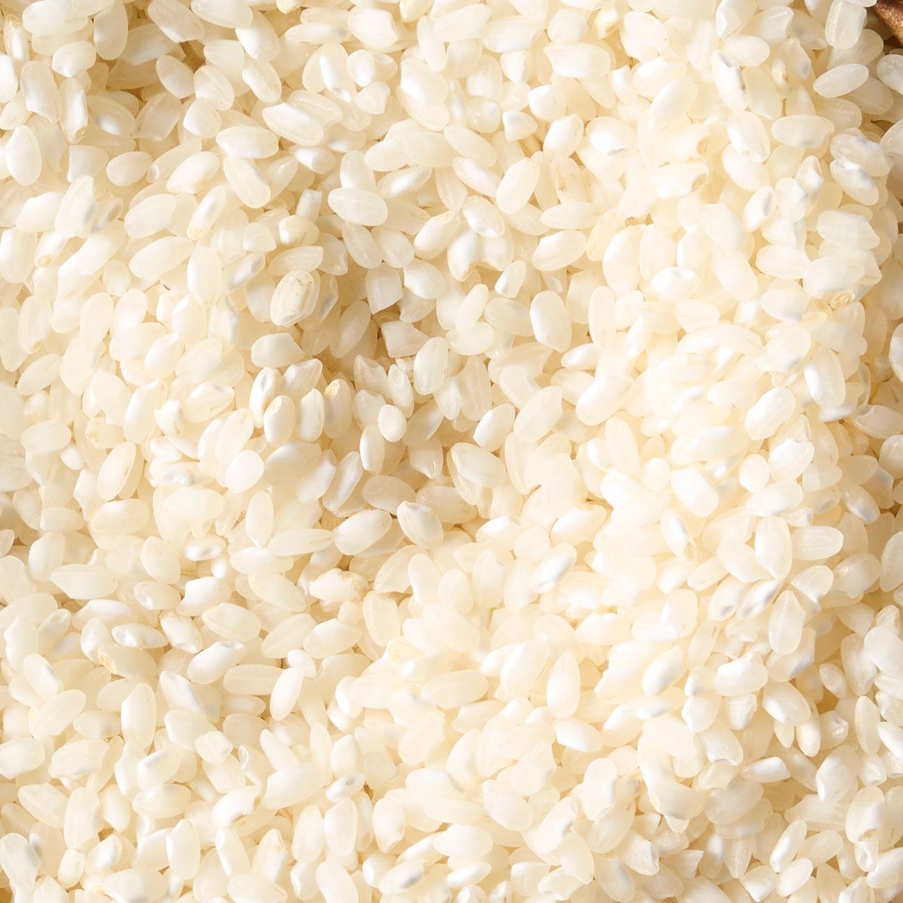 Arborio rice
