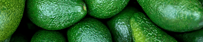 Avocado header