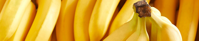 Bananas web