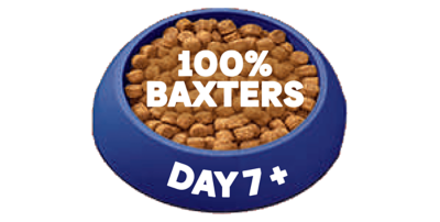 Day 7 onwards: 100% new food!