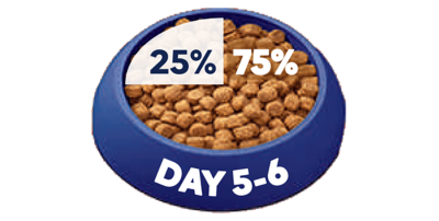 Day 5 and 6: 75% new food, 25% old food.