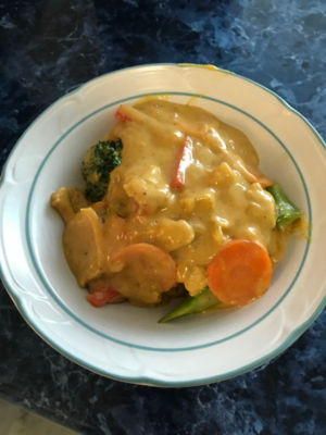 Mild Chicken & Vegetable Curry