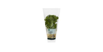 Basil