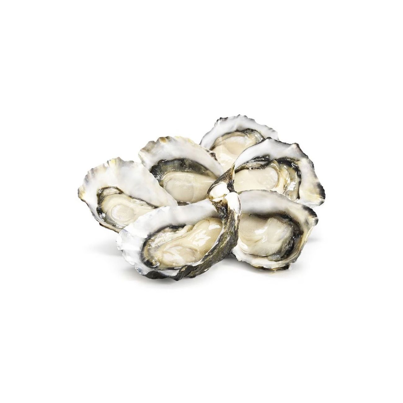Shucked oysters