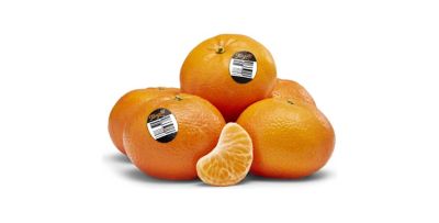 Tangold mandarins