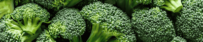 A detailed close-up of vibrant green broccoli florets and stems tightly packed together in a wide banner format.