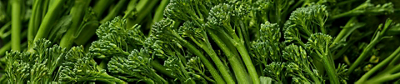 broccolini header web