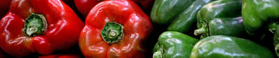 Capsicum header web