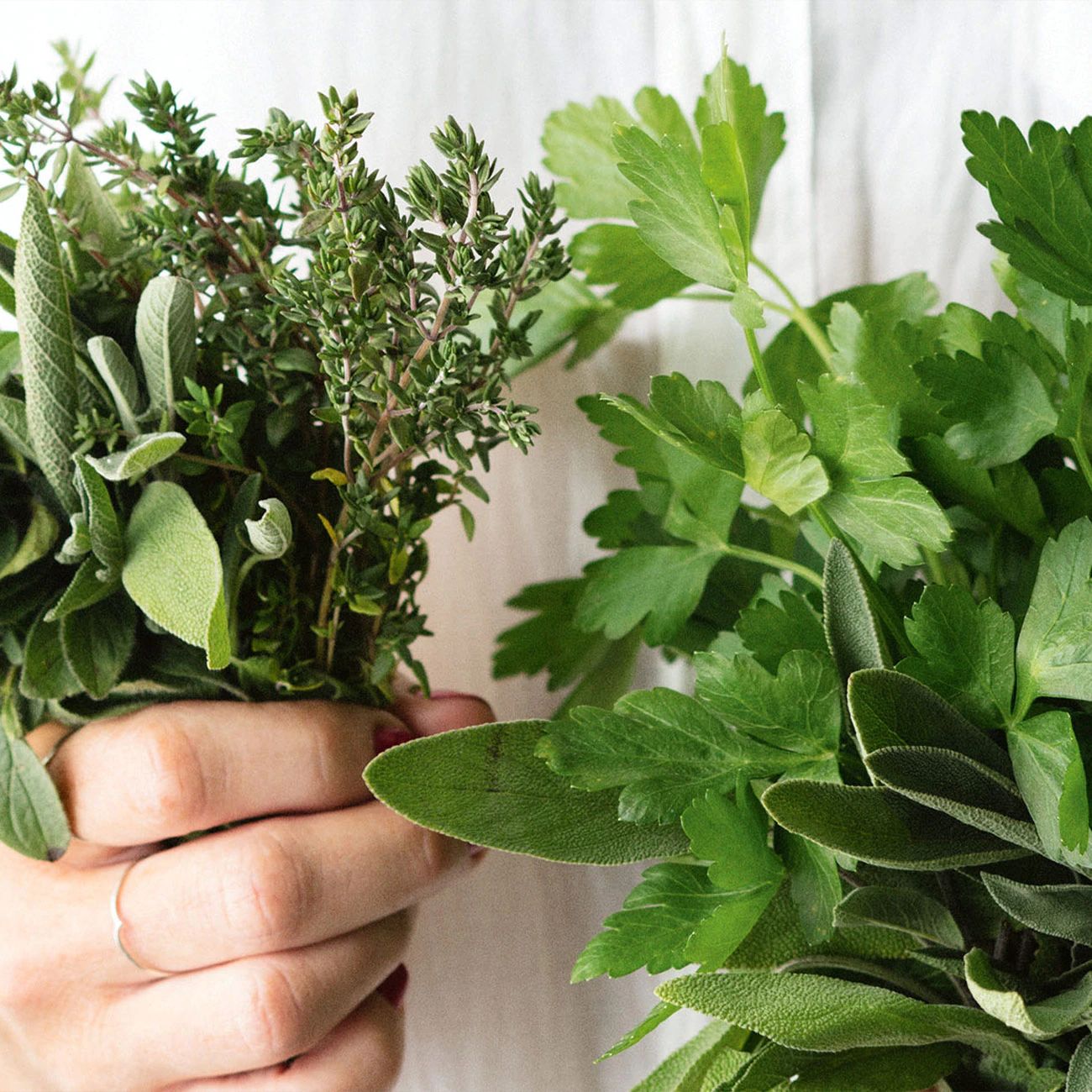 Herb and spice pairings