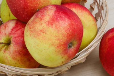 Ambrosia apple