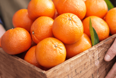 Afourer mandarin