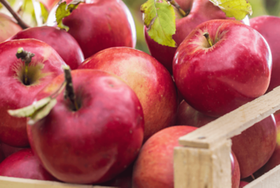 Southern Bliss apple