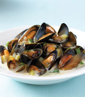 Mussels In Fennel Broth