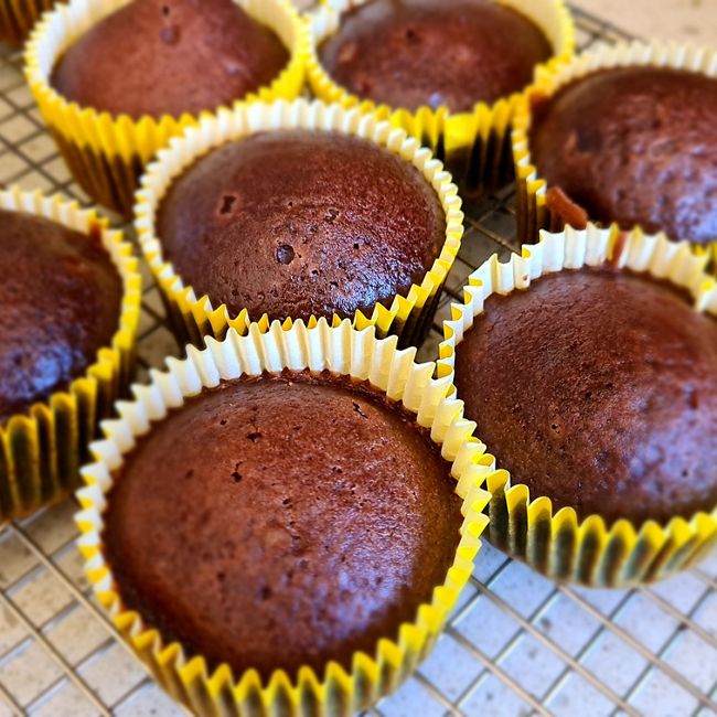 Chocolate Cupcakes
