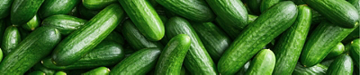 cucumbers