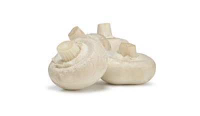 Small cup mushrooms