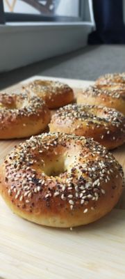 New York Style Bagels
