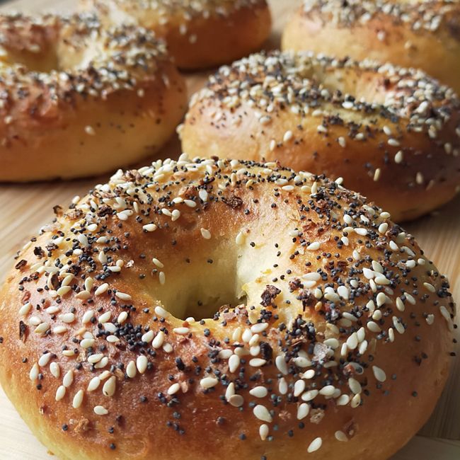New York Style Bagels