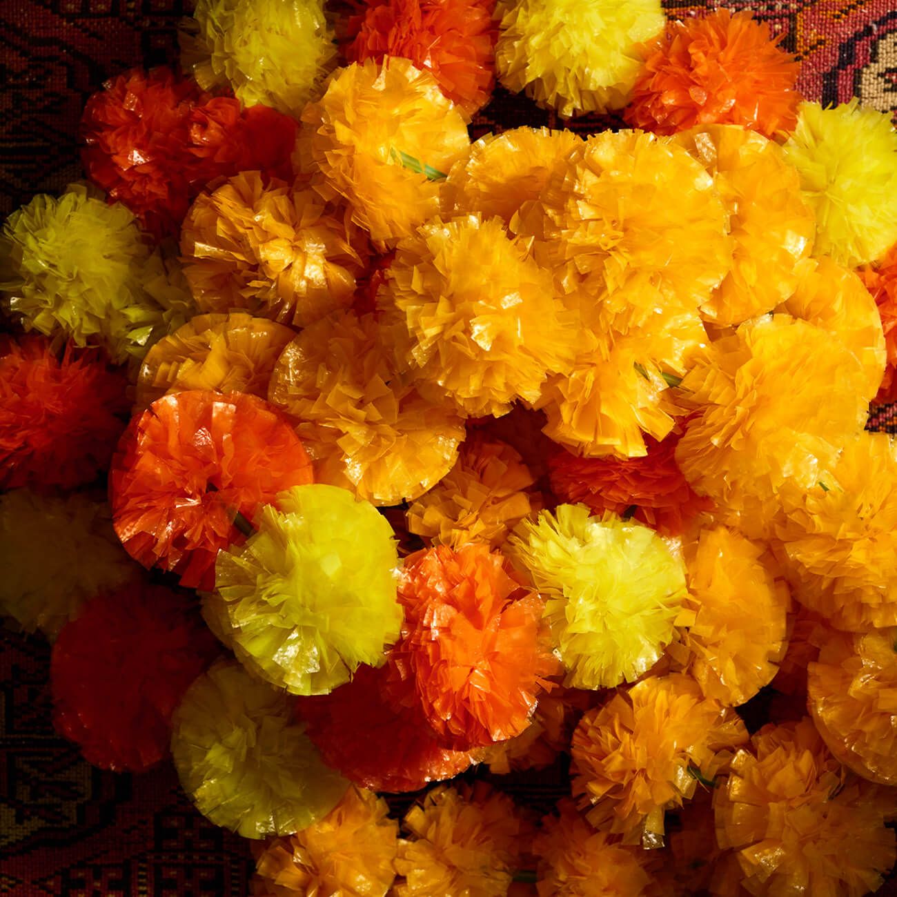 Marigolds