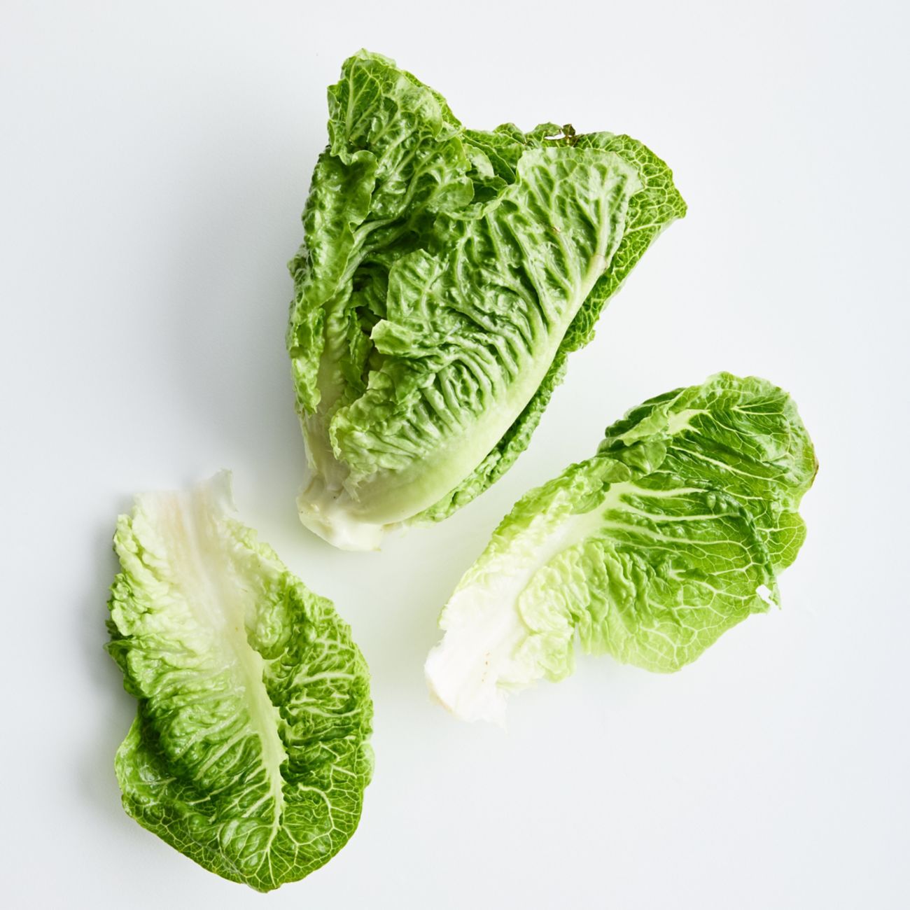 Cos lettuce