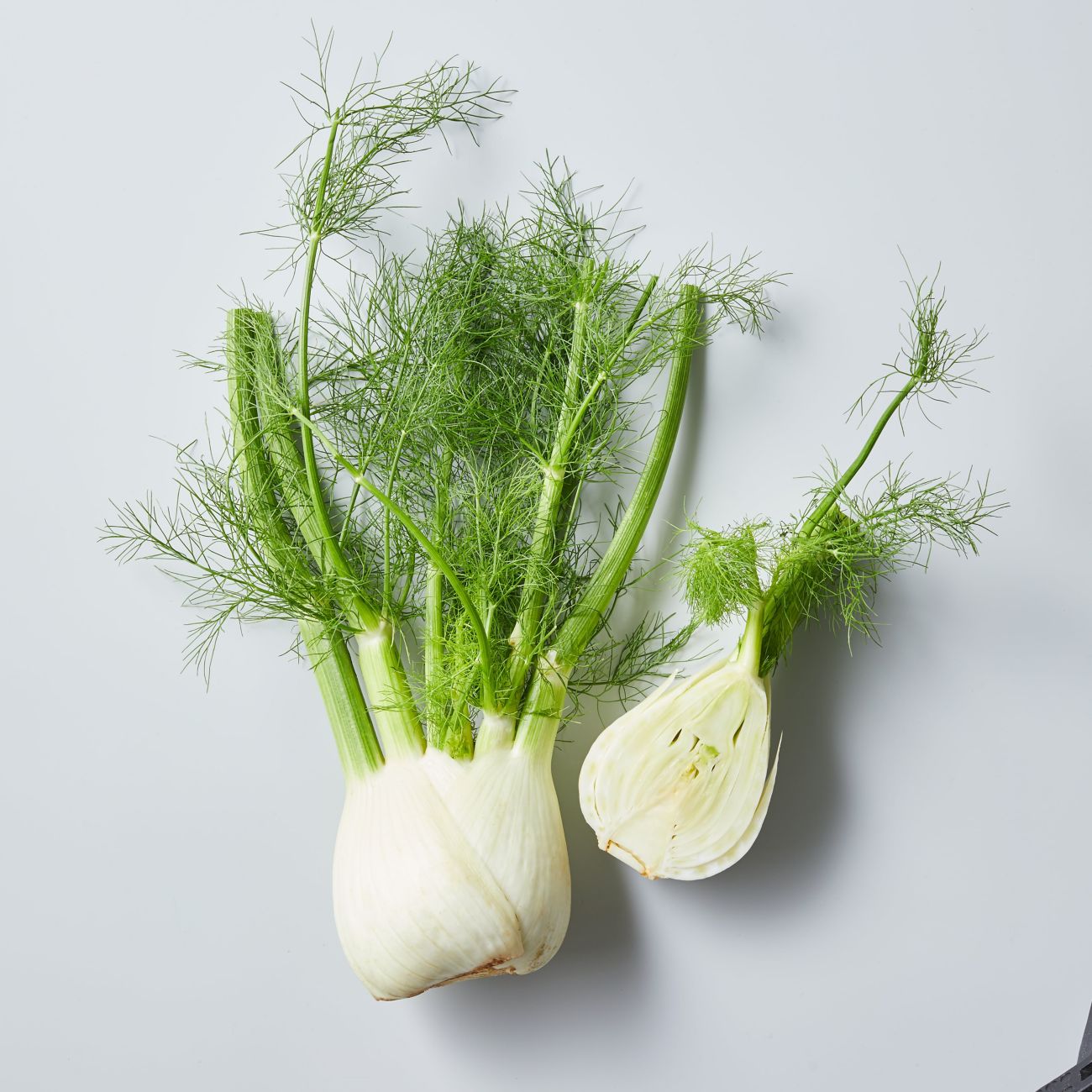 fennel 