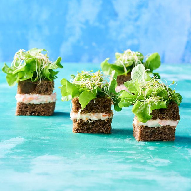 Grass-inspired veggie garden brick sandwiches
