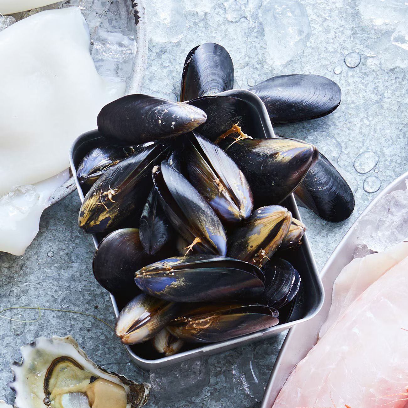 Mussels