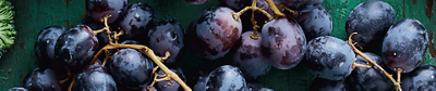 A close-up of ripe, dark purple grapes with water droplets.