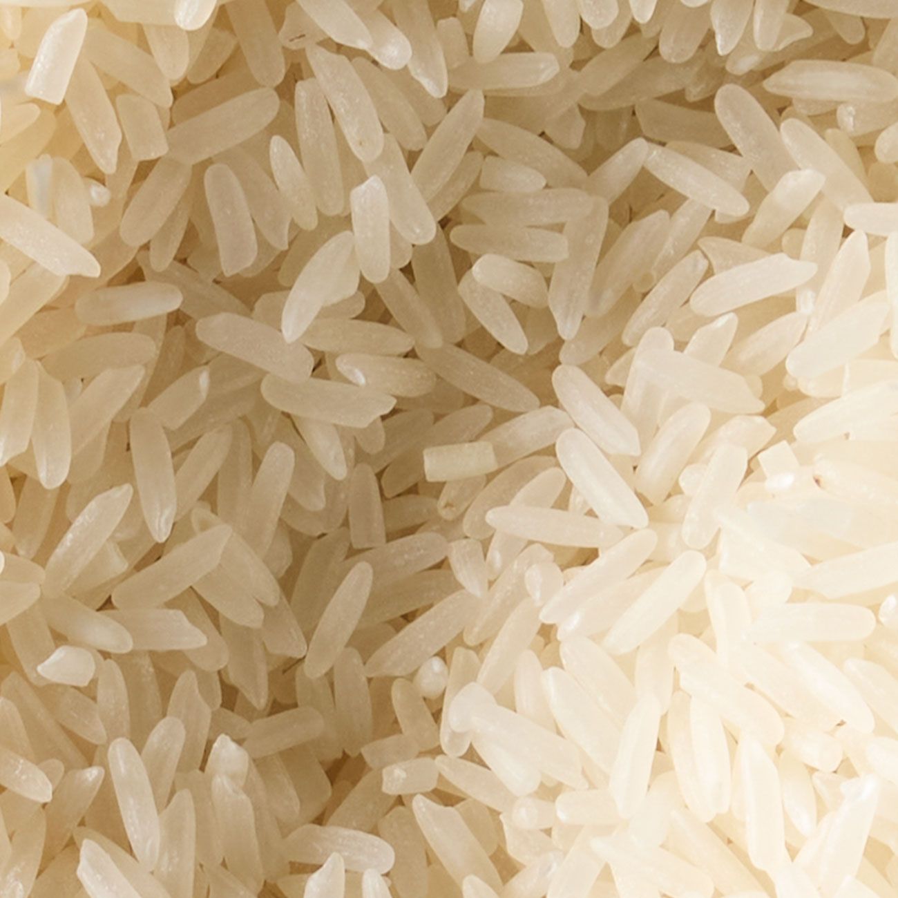 Jasmine rice