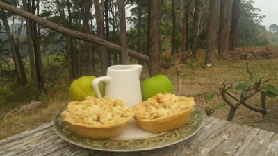 Apple Crumble Pie for 2